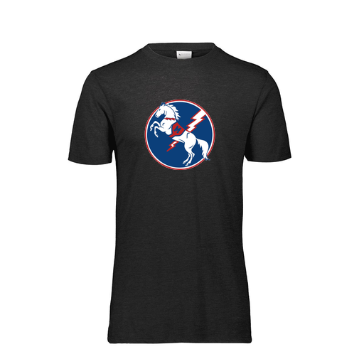 [FTSCUBBK-YS-LOGO3] Decker Youth Tri-Blend T-Shirt - Short Sleeve (Youth S, Black, Logo 3)