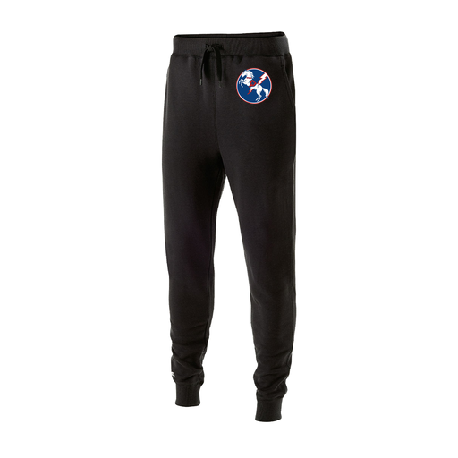 [229648.080.S-LOGO3] Youth 60/40 Fleece Jogger (Youth S, Black, Logo 3)